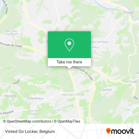Vinted Go Locker map