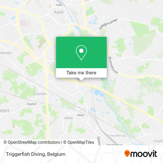 Triggerfish Diving map