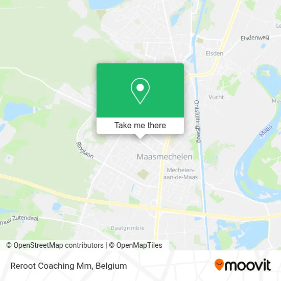 Reroot Coaching Mm plan