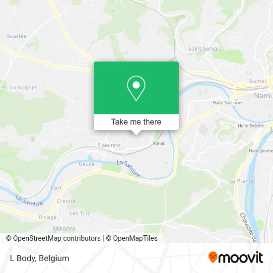 L Body map