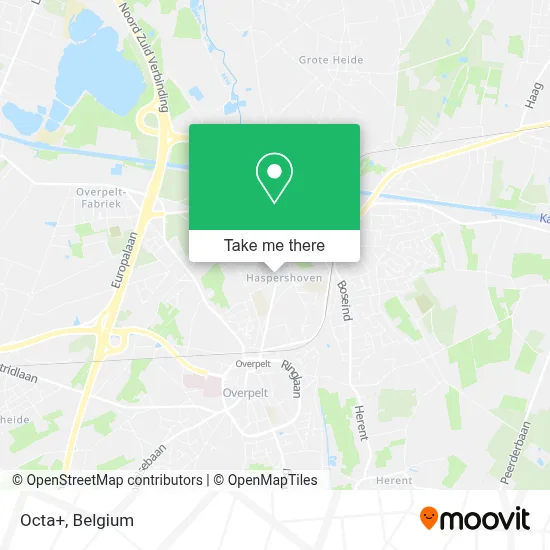Octa+ map