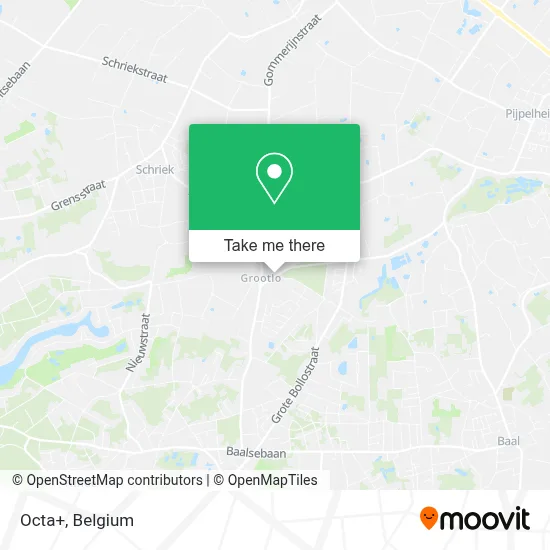 Octa+ map