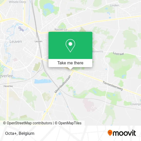 Octa+ map