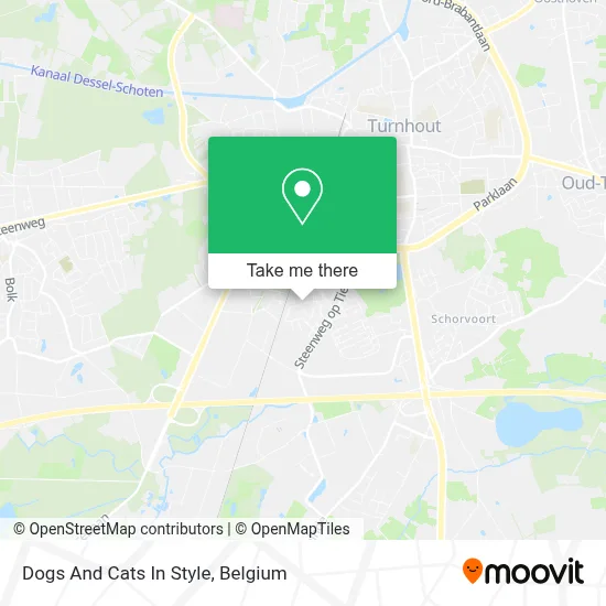 Dogs And Cats In Style map