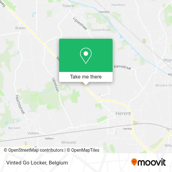 Vinted Go Locker map