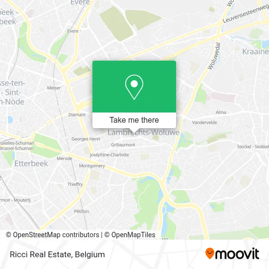 Ricci Real Estate plan