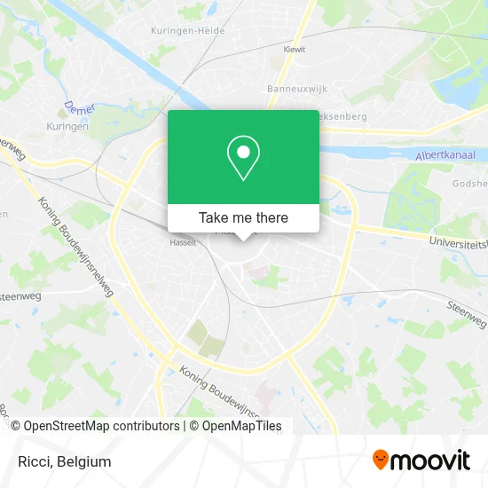 Ricci plan