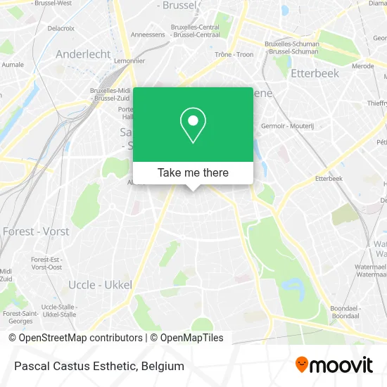 Pascal Castus Esthetic map