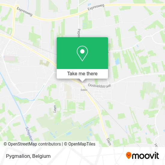 Pygmalion map