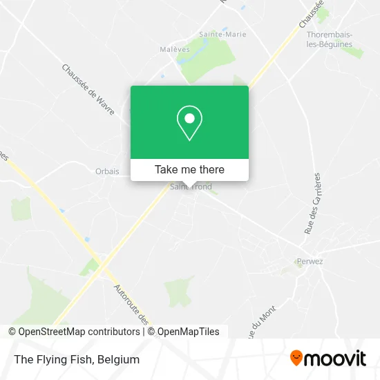 The Flying Fish map