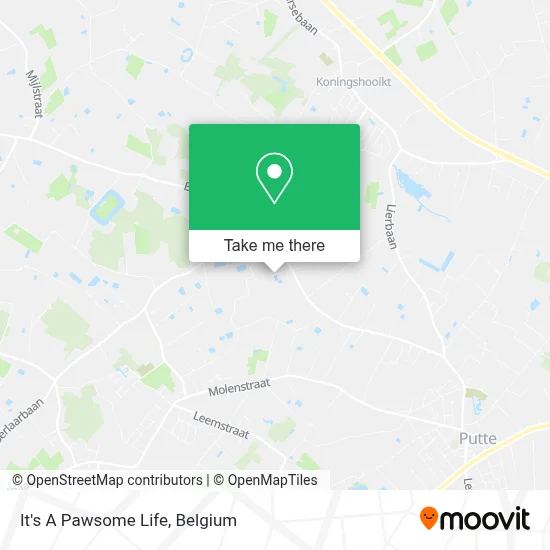 It's A Pawsome Life map