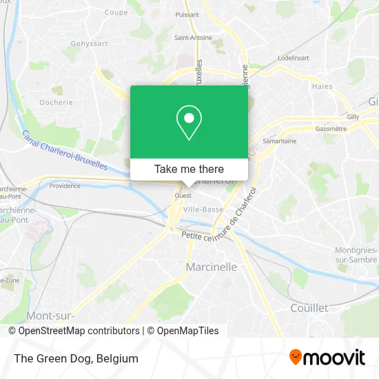 The Green Dog map