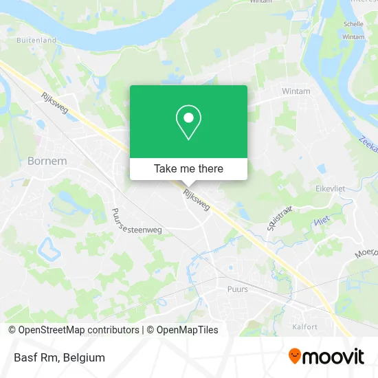 Basf Rm map