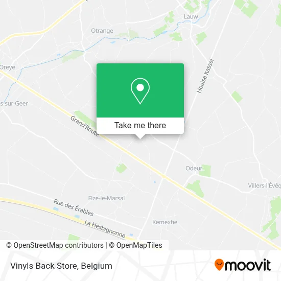 Vinyls Back Store map