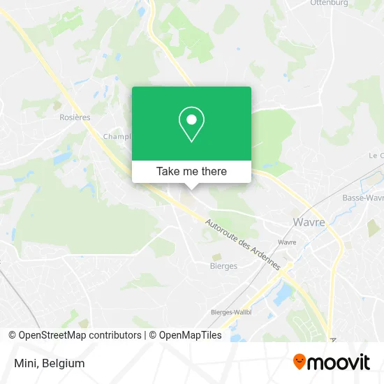 Mini map