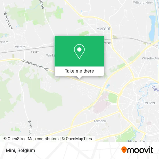Mini map