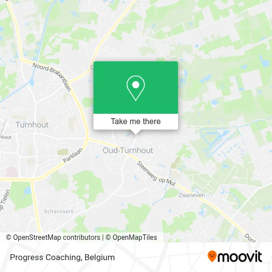 Progress Coaching map