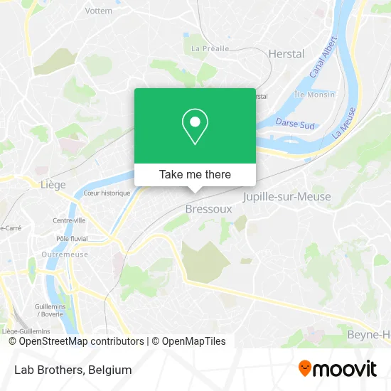 Lab Brothers map