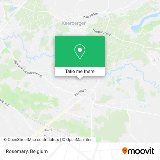 Rozemarijn plan