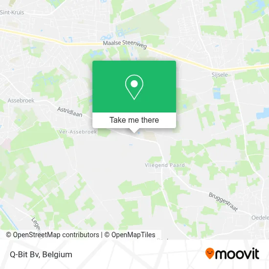 Q-Bit Bv map