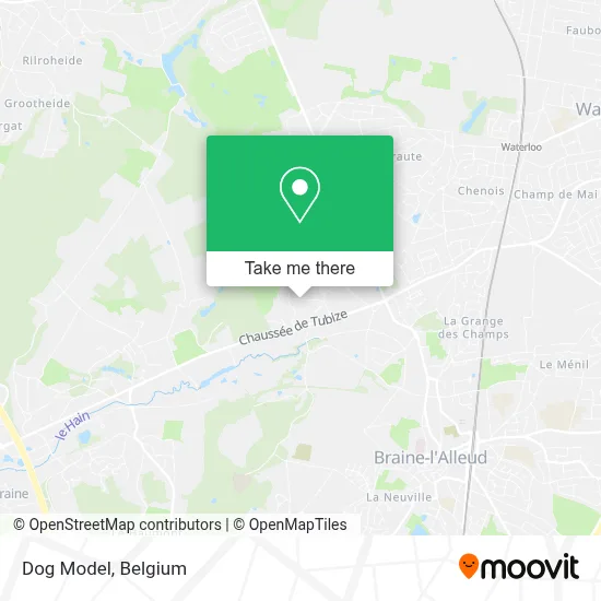Dog Model map