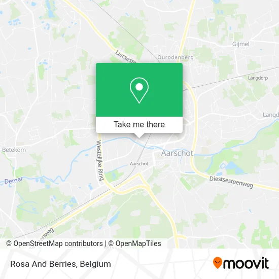 Rosa And Berries map