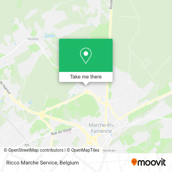 Ricco Marche Service plan
