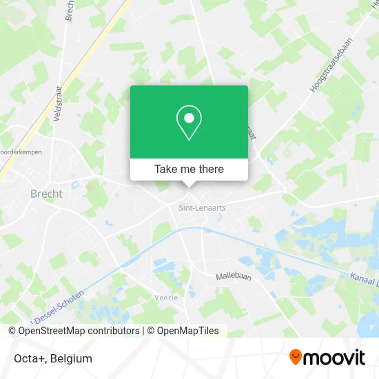 Octa+ map