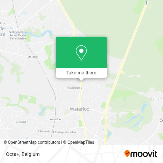 Octa+ map