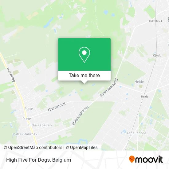 High Five For Dogs map