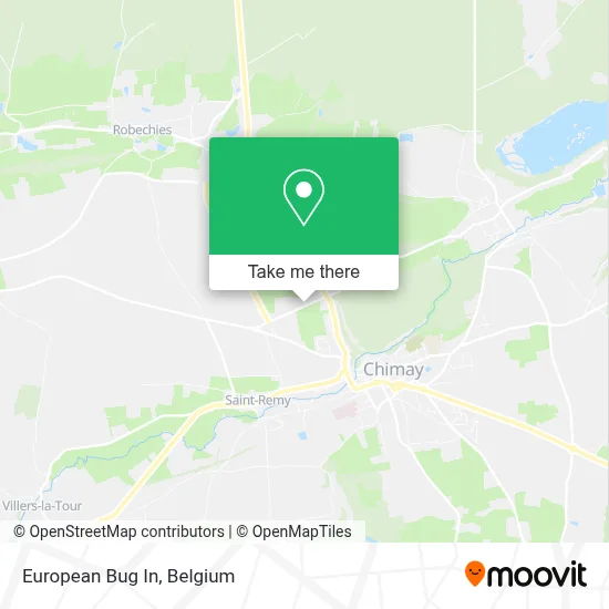 European Bug In map