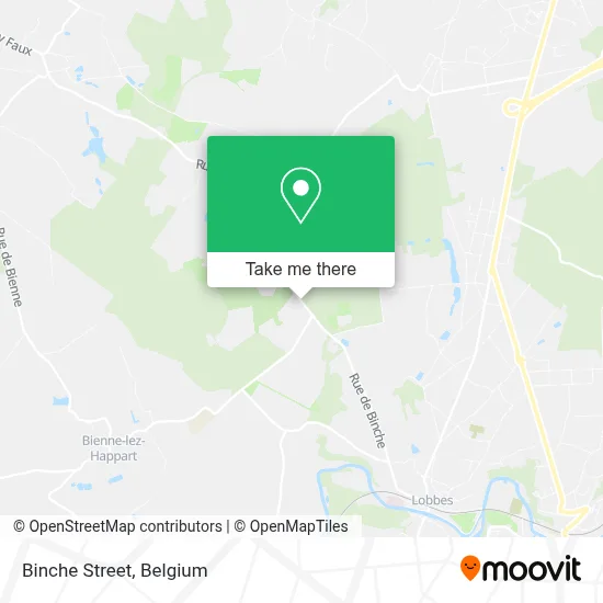 Rue de Binche plan