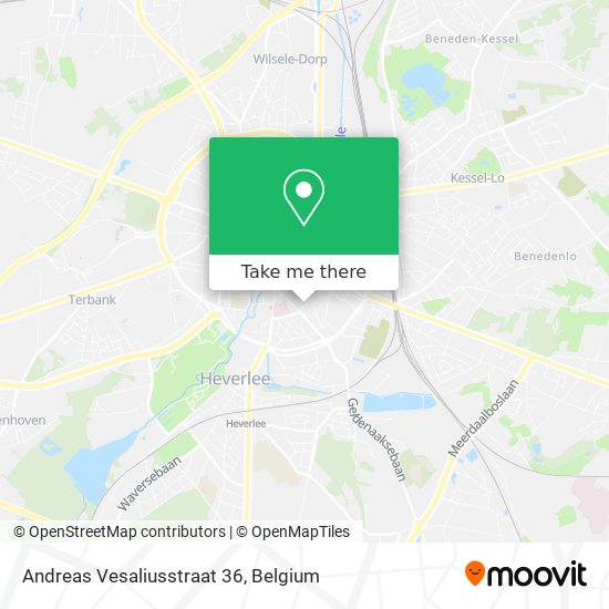 Andreas Vesaliusstraat 36 map