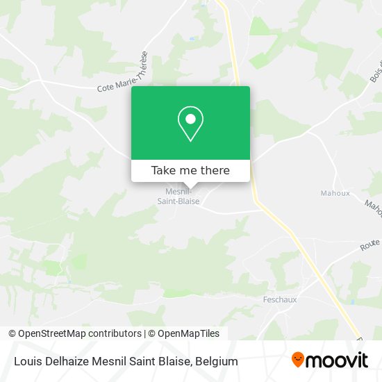 Louis Delhaize Mesnil Saint Blaise plan