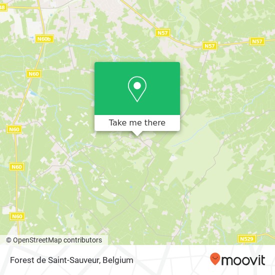 Forest de Saint-Sauveur plan