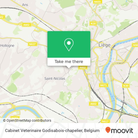 Cabinet Veterinaire Godisabois-chapelier map