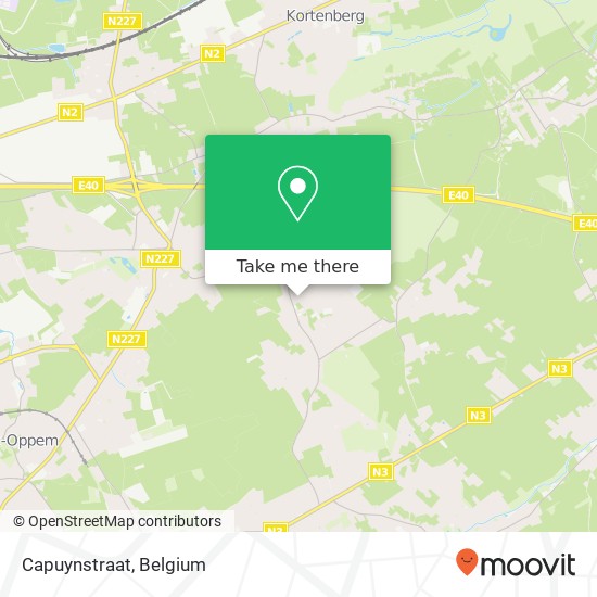 Capuynstraat map