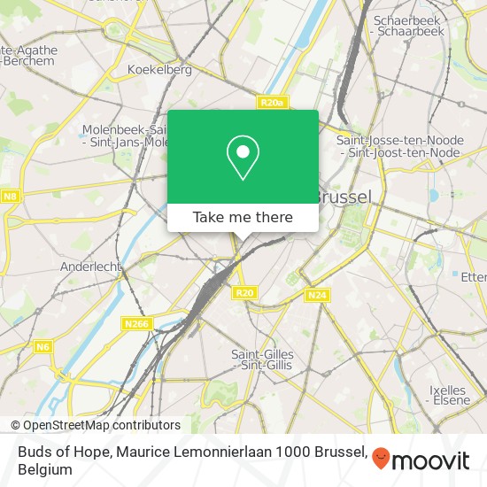 Buds of Hope, Maurice Lemonnierlaan 1000 Brussel map