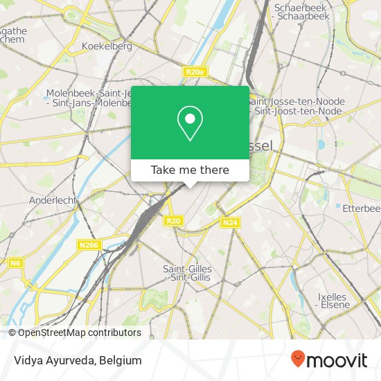 Vidya Ayurveda, Huidevettersstraat 62 1000 Brussel map
