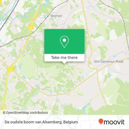 De oudste boom van Alsemberg map