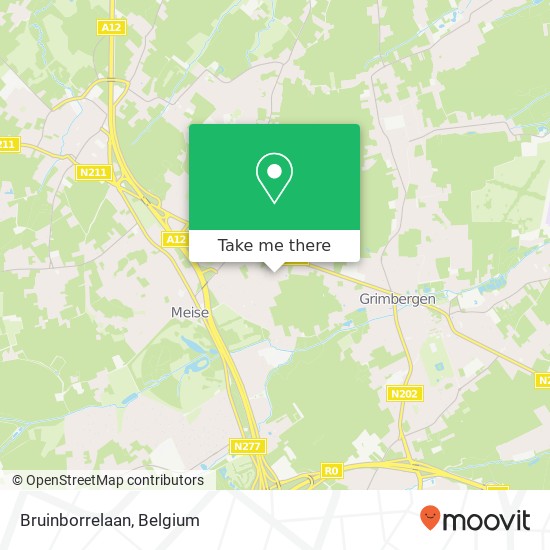 Bruinborrelaan map