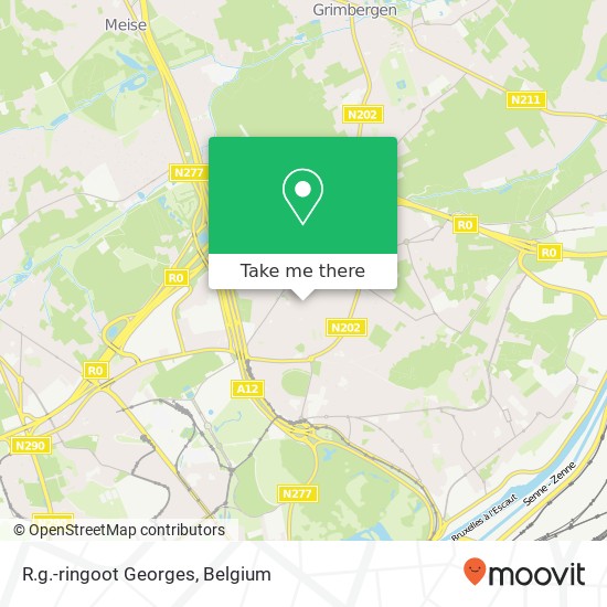 R.g.-ringoot Georges plan