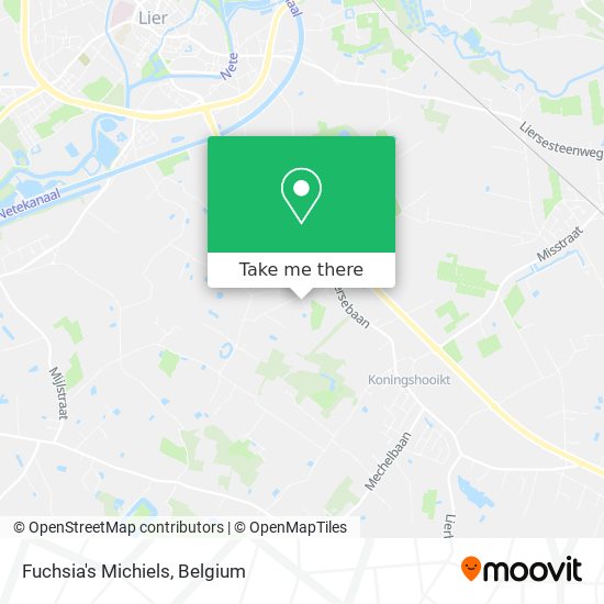 Fuchsia's Michiels map