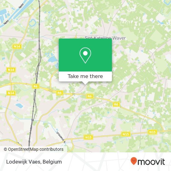 Lodewijk Vaes plan