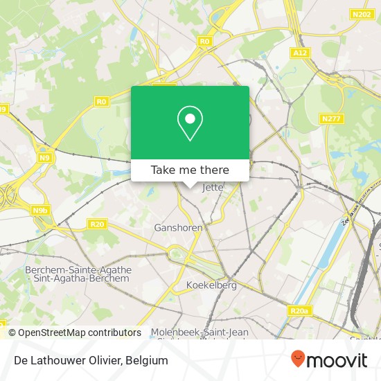 De Lathouwer Olivier map