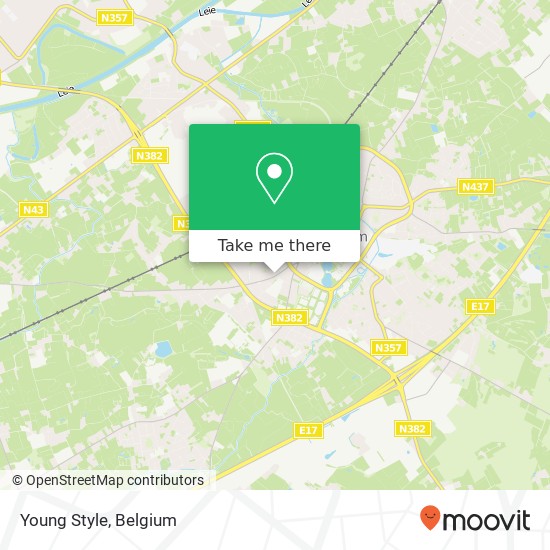 Young Style map