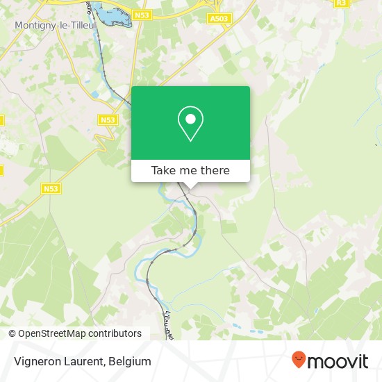 Vigneron Laurent map