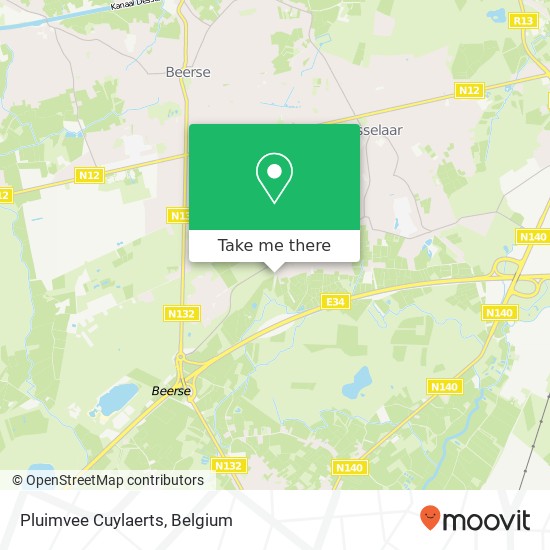 Pluimvee Cuylaerts plan