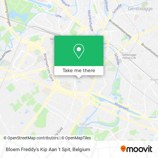 Bloem Freddy's Kip Aan 't Spit map