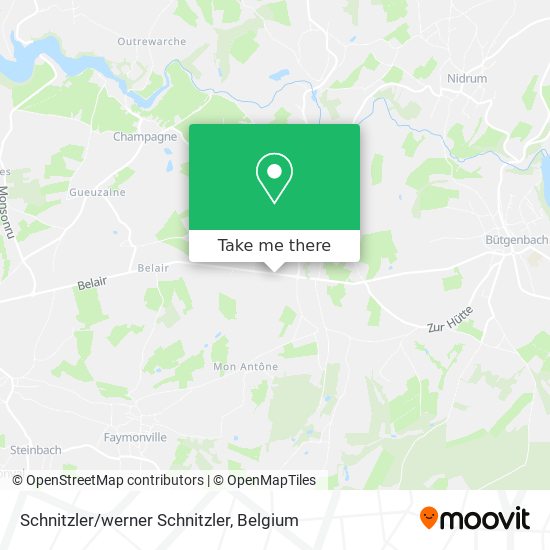 Schnitzler/werner Schnitzler plan